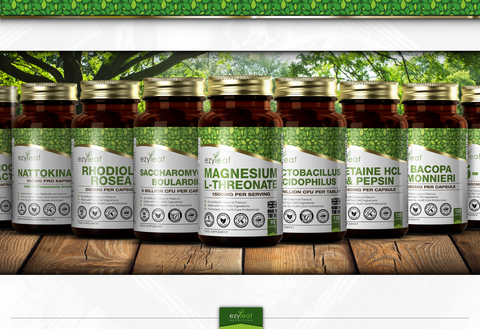 Saccharomyces Boullardi 5 Billion CFU 90 Vegan Capsules